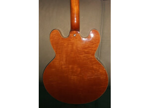 Dos trois quart1.JPG