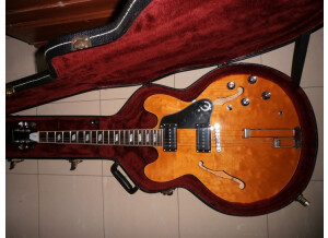 Trois quart étui.JPG