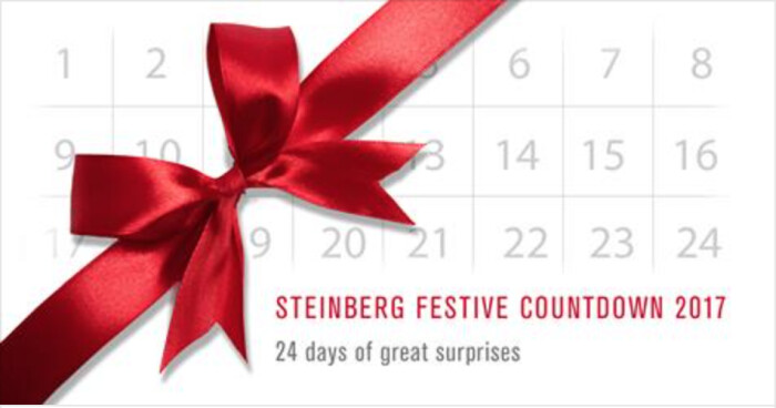 Steinberg 2017 Advent Calendar Steinberg 2017 Advent Calendar