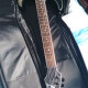 RG421EX RG421EX