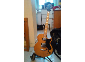 Gibson L6-S (1974) (53934)