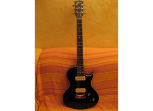 Gibson BluesHawk (83837)