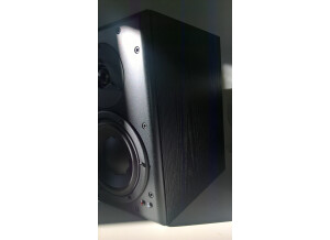 Dynaudio BM6A (99884)