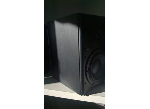 Dynaudio BM6A (21003)