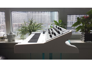 Roland SYSTEM-1m (30293)