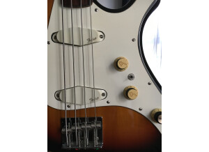 Fender Performer Bass