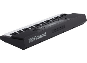 Roland E-X20