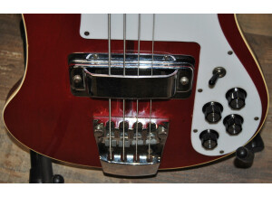 Yamaha APX700II-12 (81510)