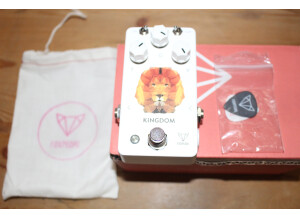 Foxpedal Kingdom (20963)