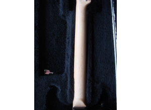 Warmoth Telecaster (62147)