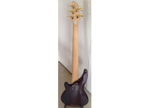 WSL Guitars Basse Glam & Proud 5 cordes (4702)