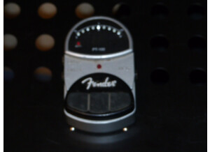 Fender PT-100 (29329)