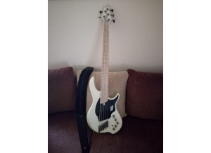 SGC Nanyo Bass Collection 320 Series 5