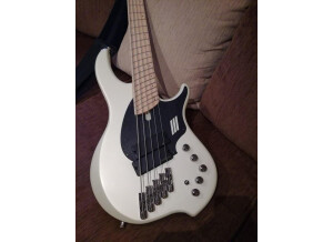 SGC Nanyo Bass Collection 320 Series 5