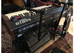 Crumar Mojo (82050)