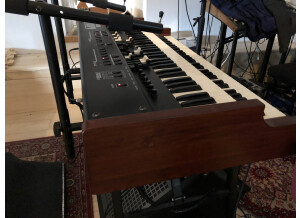 Crumar Mojo (78306)