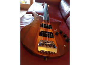 Epiphone Les Paul Standard Gold Top (24963)