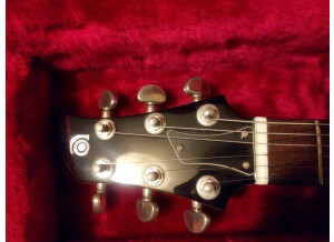 Ampeg AMG100 Bk (29018)