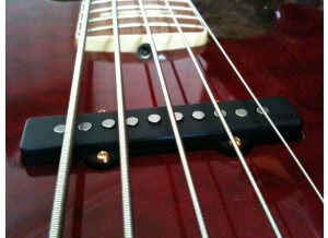Fender American Deluxe Series - Jazz Bass V Qmt Rw BCT