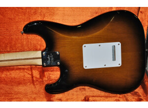 Ibanez TCY20 (96012)