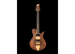 Fodera Guitars Masterbuilt Artdeco