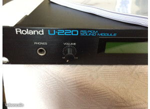 Roland U-220 (20134)