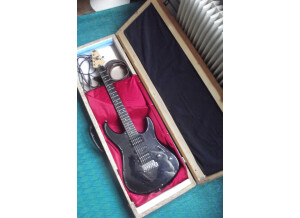 guitar case 1 .JPG