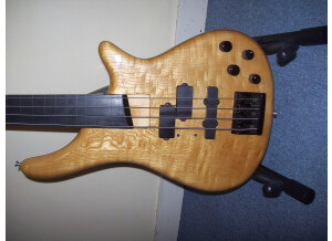 SGC Nanyo Bass Collection SB 300 Series (47616)