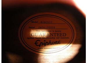 Epiphone Bluegrass Series - Biscuit Dobro