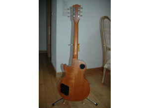 Gibson Les Paul Classic Antique Zebrawood (53876)