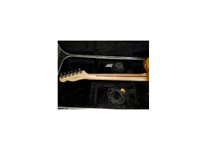 Fender Special Edition Lite Ash Telecaster (49700)