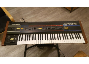 Roland Juno 6 01
