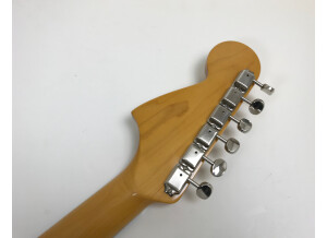 Fender Pawn Shop Mustang Special (23446)