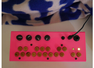 Critter and Guitari Bolsa Bass (59604)