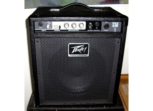 Peavey MAX 110 (87853)
