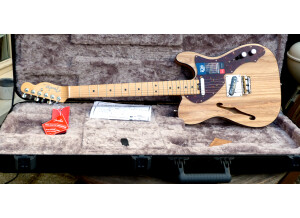 Fender American Elite Telecaster Thinline (69118)
