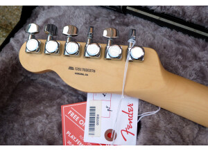 Fender American Elite Telecaster Thinline (51421)