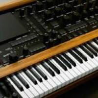 Cherche RSF Polykobol - Looking for RSF Polykobol