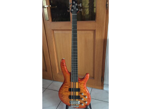 Ibanez RD605 (53107)