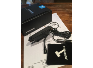 Fishman Rare Earth Mic Blend (66127)