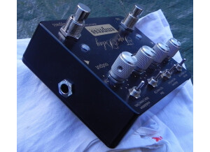 Empress Effects Tape Delay (57463)