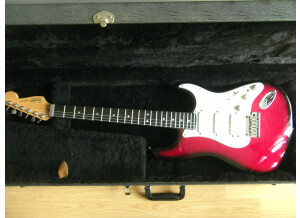 Fender Strat Ultra [1990-1997] (35030)