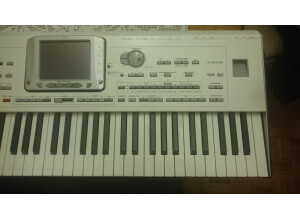 Korg Pa2XPRO (69809)