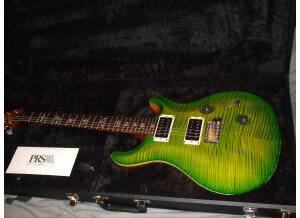 PRS Custom 24 Ten Top Birds (89810)