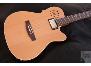 Godin Multiac Spectrum SA