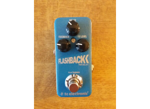 TC Electronic Flashback Mini (80957)