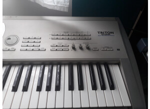 Korg Triton Studio 61 (23143)