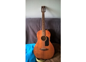 Tanglewood TW133 (96229)