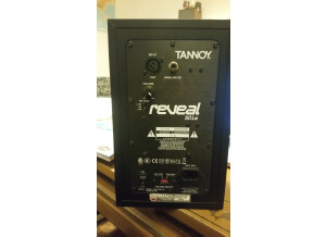 Tannoy Reveal 501A (89862)