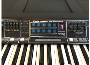 Moog Music Polymoog Synthesizer (203A) (55516)